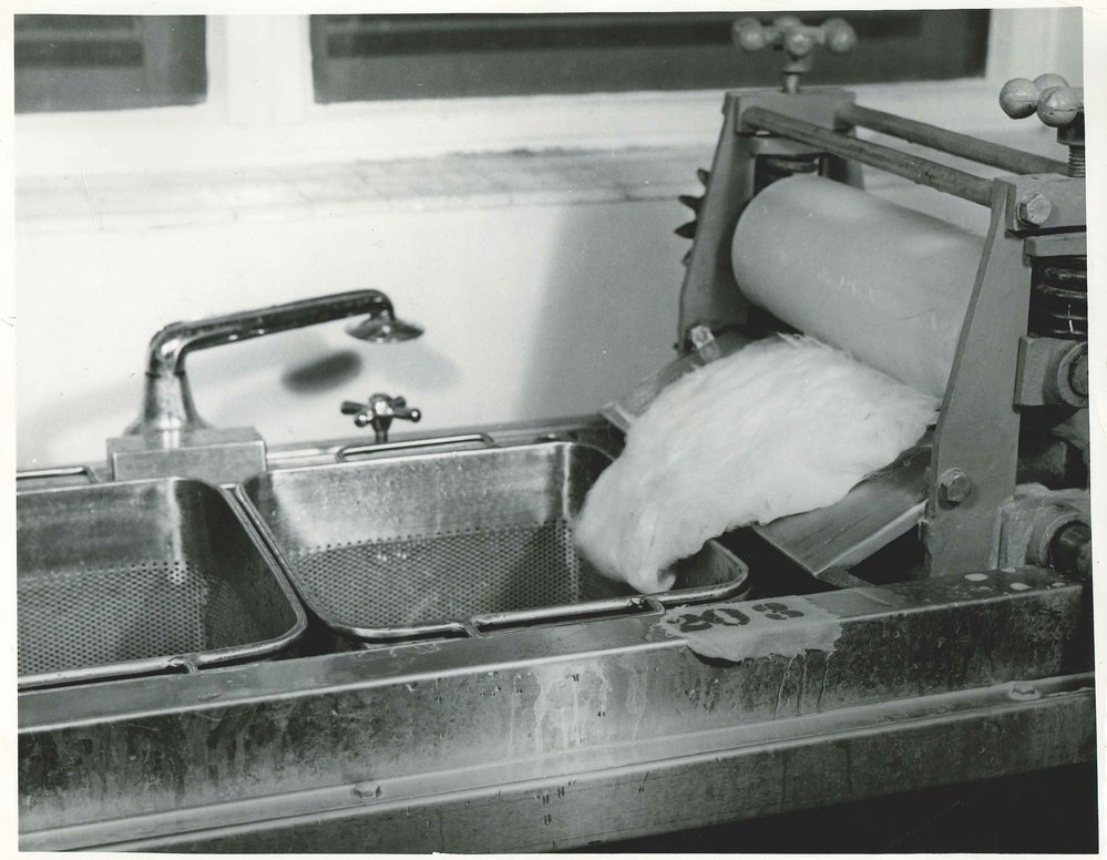 Animal Production Laboratory, Roseworthy Agricultural College, c1950