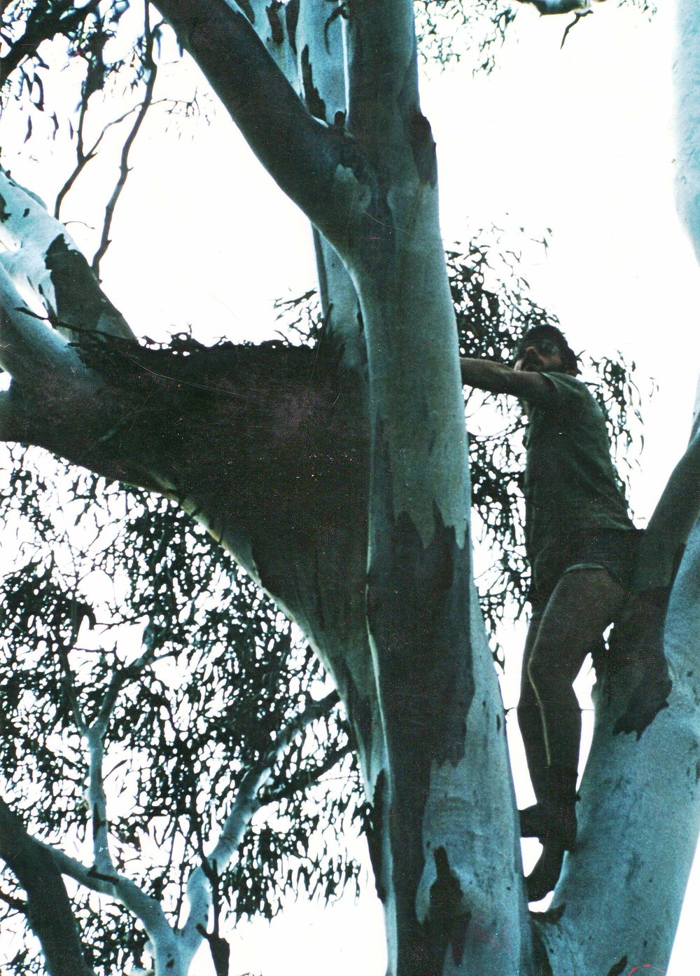 Tim Bond and Bird Nest, 1980