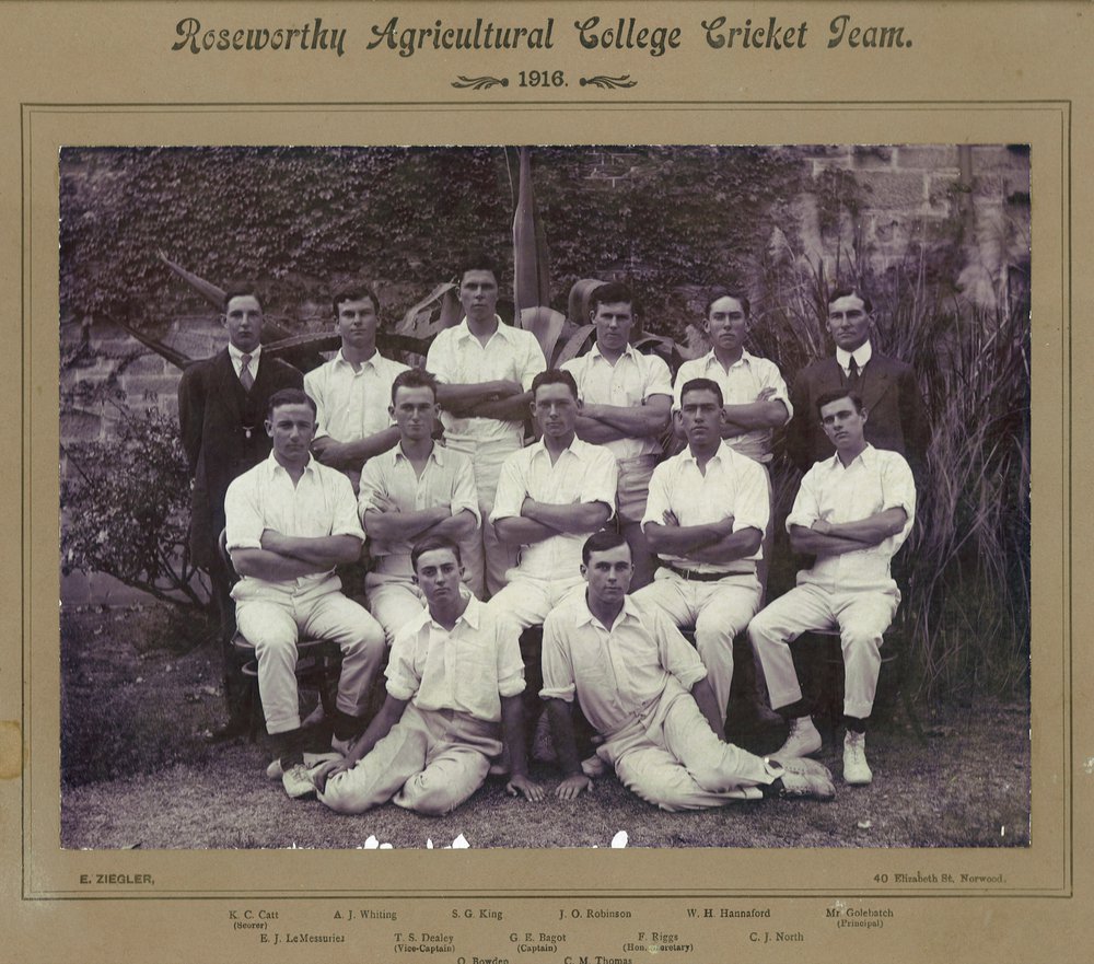  Cricket Team, Roseworthy Agricultural College, 1916