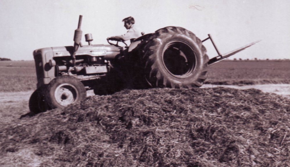 Silage Rolling, Roseworthy Agricultural College, c1950s