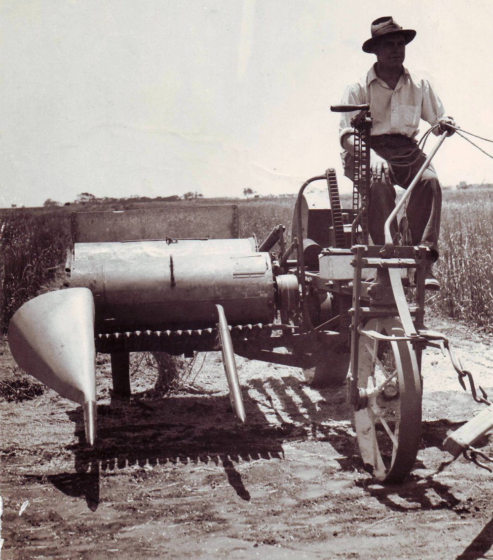 Horse-drawn Plot Harvester, 1950s