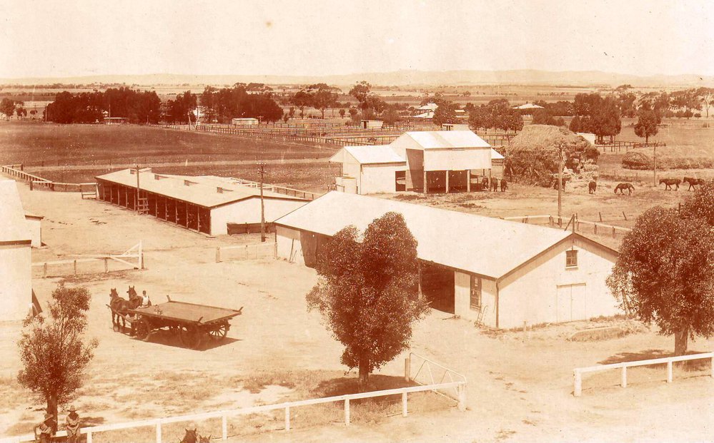 Stables Area, Roseworthy Agricultural College, 1920s