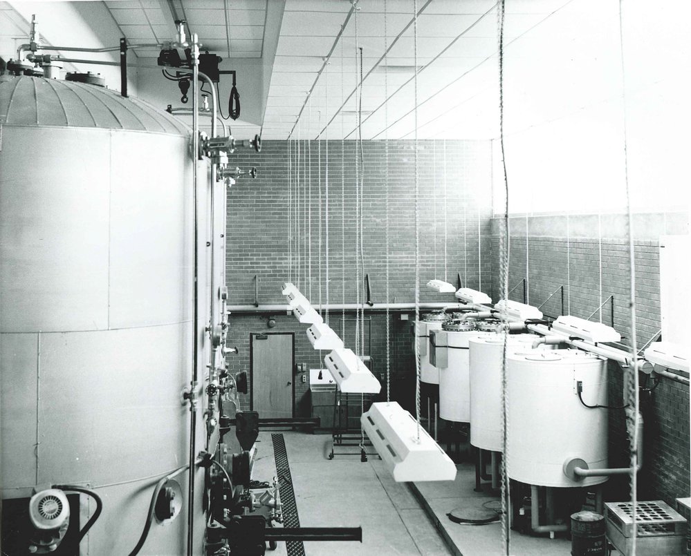 Roseworthy Agricultural College Winery Interior, c1970