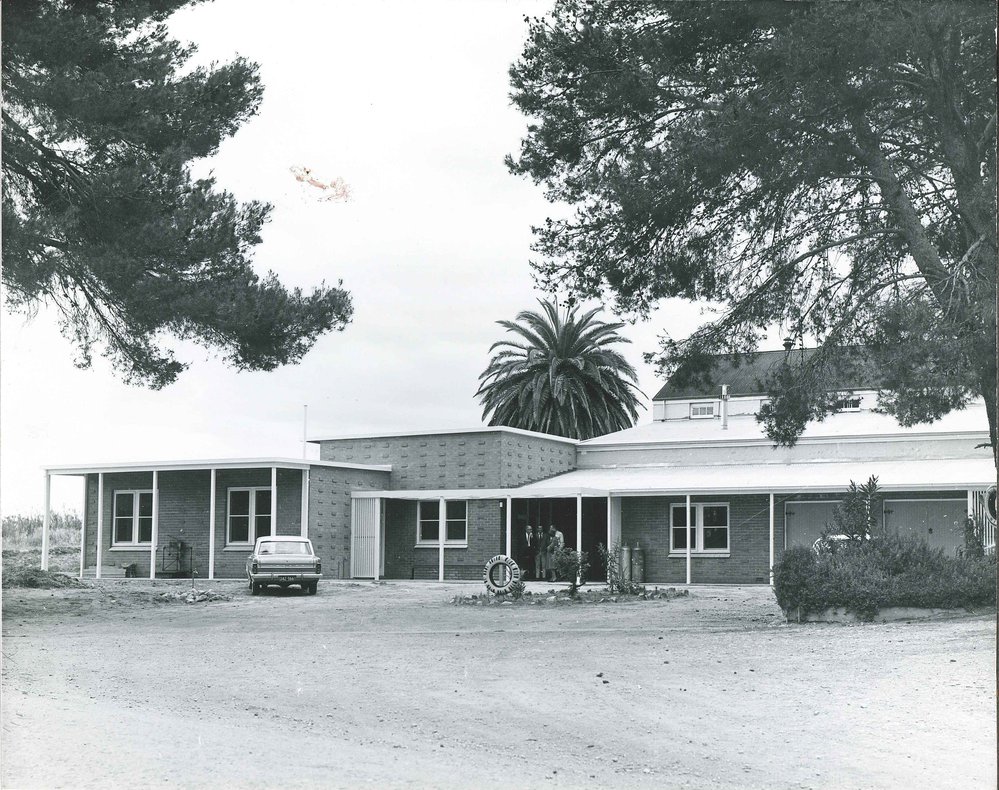 Winery, Roseworthy Agricultural College, c1970