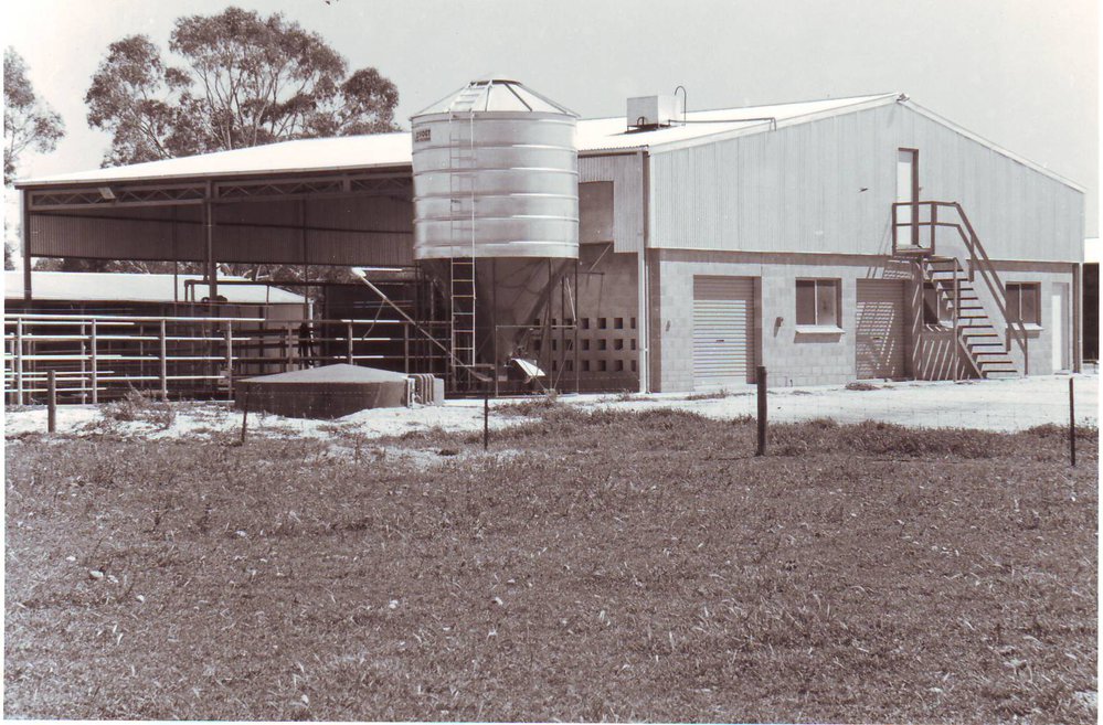 Farmers Union Dairy, Roseworthy Agricultural College, 1990