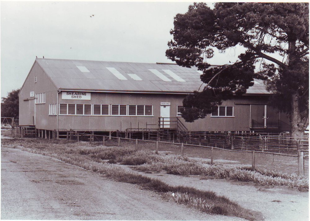 Shearing Shed, Roseworthy Agricultural College, 1990
