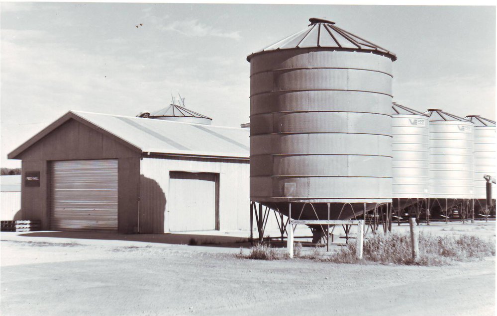 Feed Mill and Grain Silos, Roseworthy Agricultural College, 1990