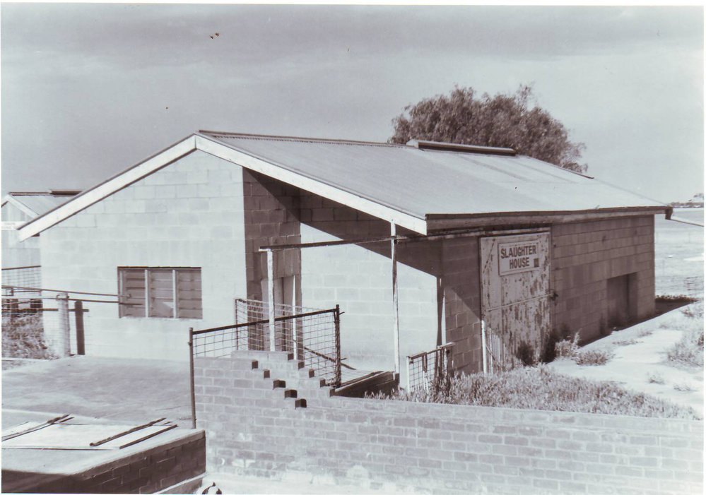 Slaughter House, Roseworthy Agricultural College, 1990