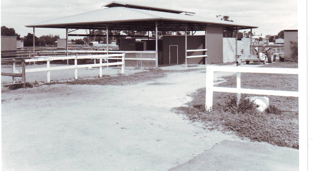 Equine Studies Lunging Ring, Roseworthy Agricultural College, 1990