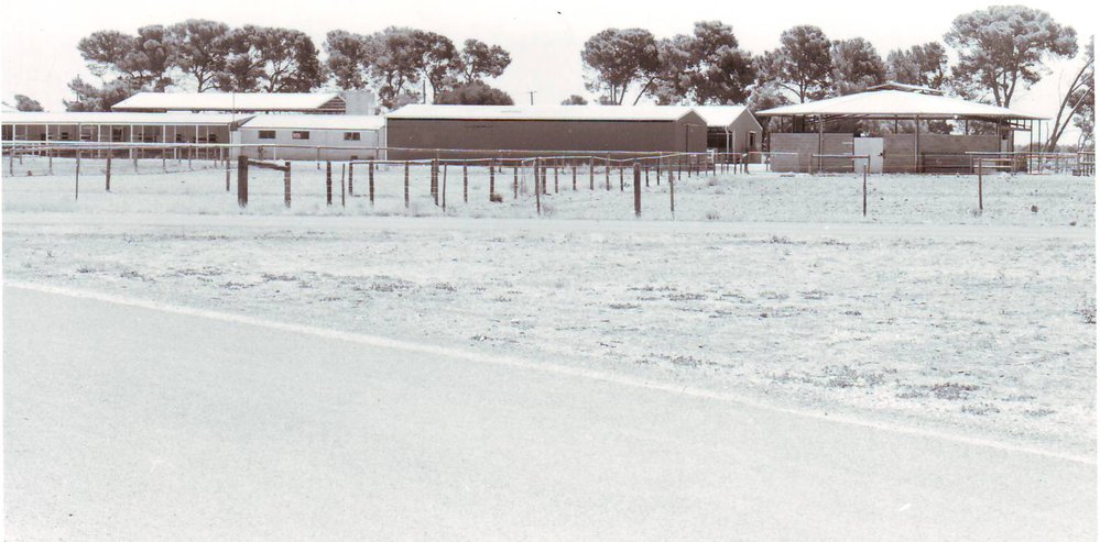 Equine Buildings, Roseworthy Agricultural College, 1990