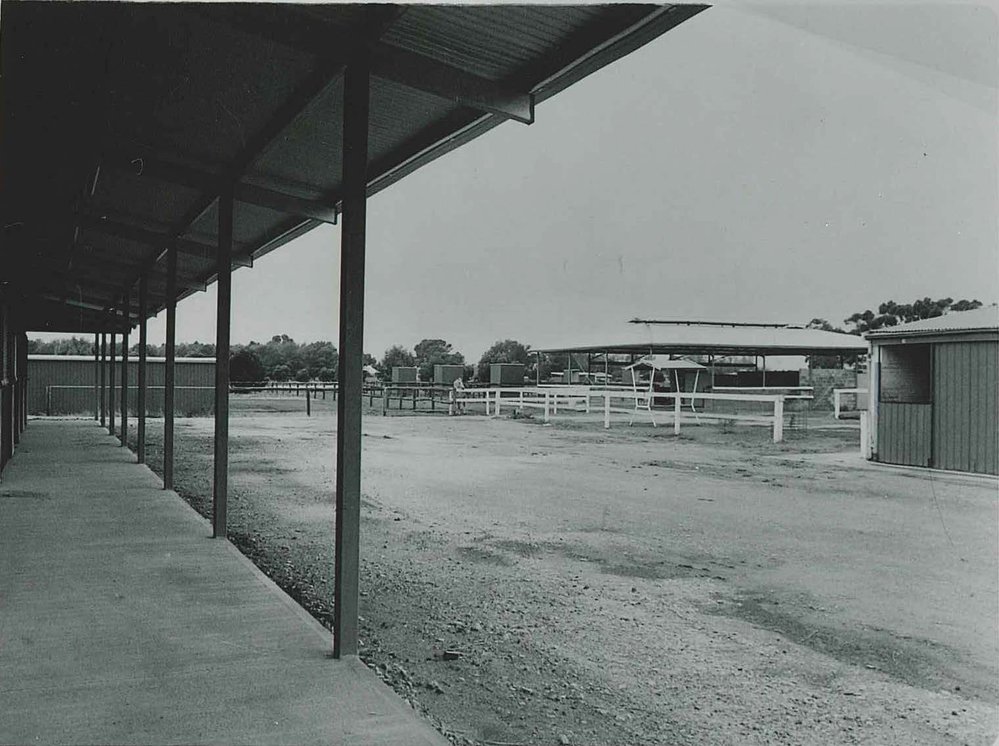 Horse Husbandry Yards, Roseworthy Agricultural College, c1983