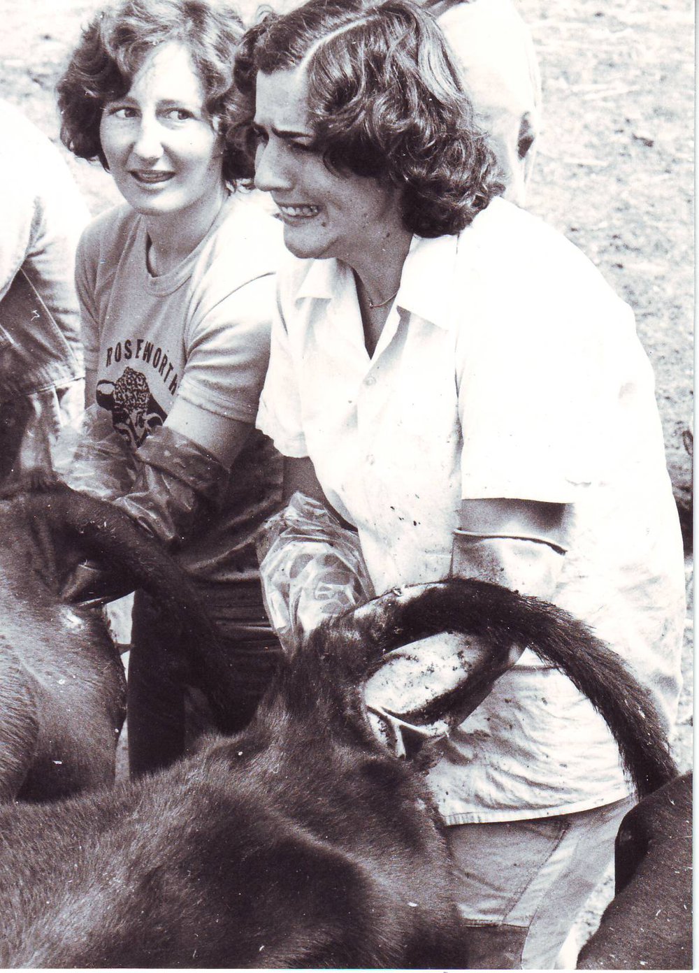 Artificial Insemination by Students, 1977