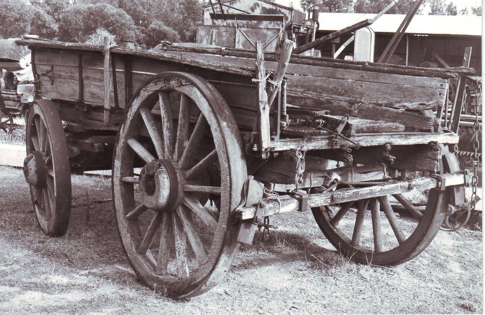 Shepherdson Wagon, 1984