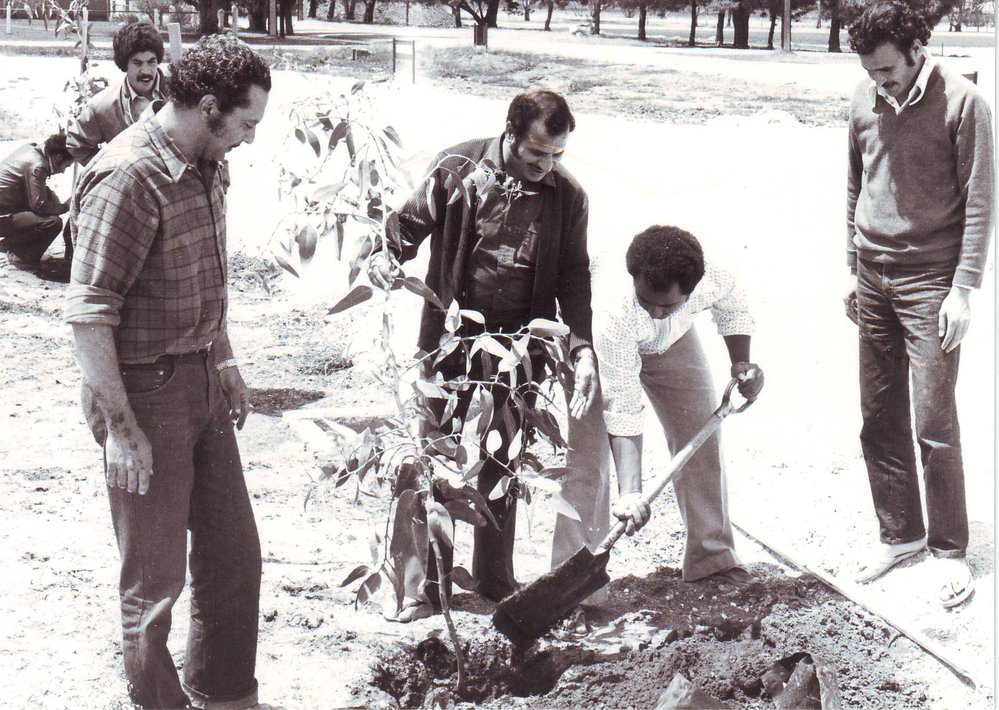 Tree Planting Ceremony, 1977