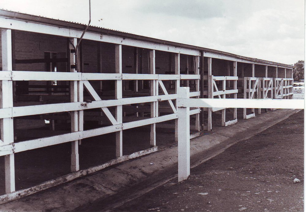 Old  Stables, Roseworthy Agricultural College, 1982