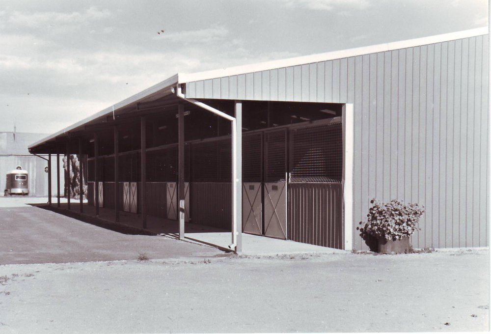 Centre for Equine Studies, Roseworthy Agricultural College, 1990