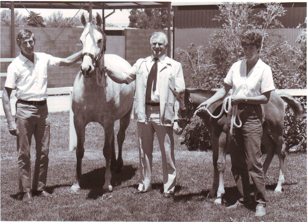 'Good Friday' with Foal, 1986