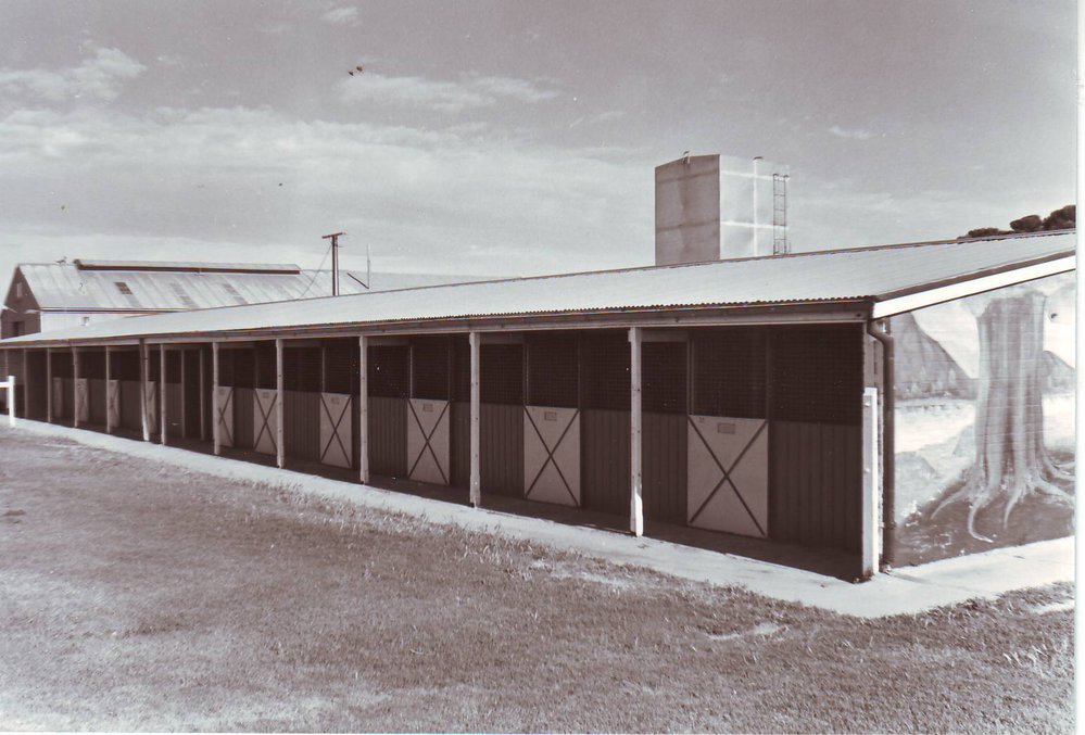 Centre for Equine Studies, Roseworthy Agricultural College Stables, 1990
