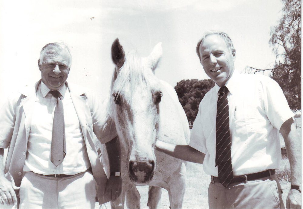 Barrie Thistlethwayte, c1980