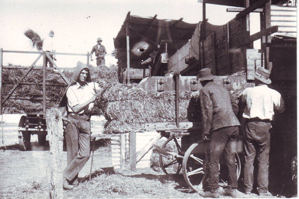 Hay Baler and Waggon with Sheaves, 1920