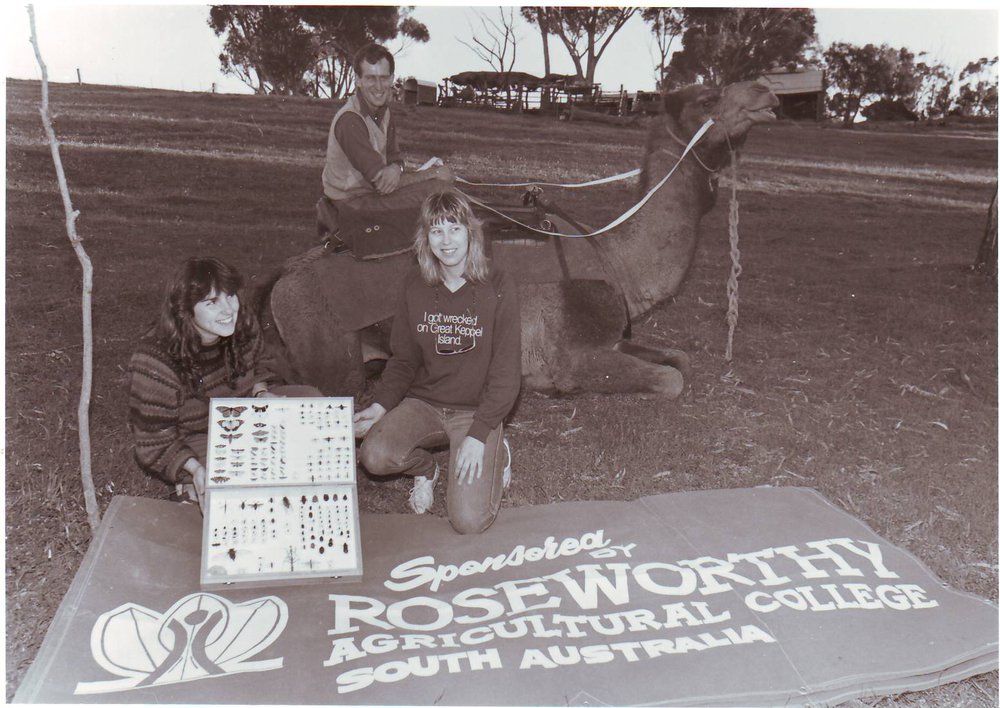 Phil Gee and Camel Race, 1990