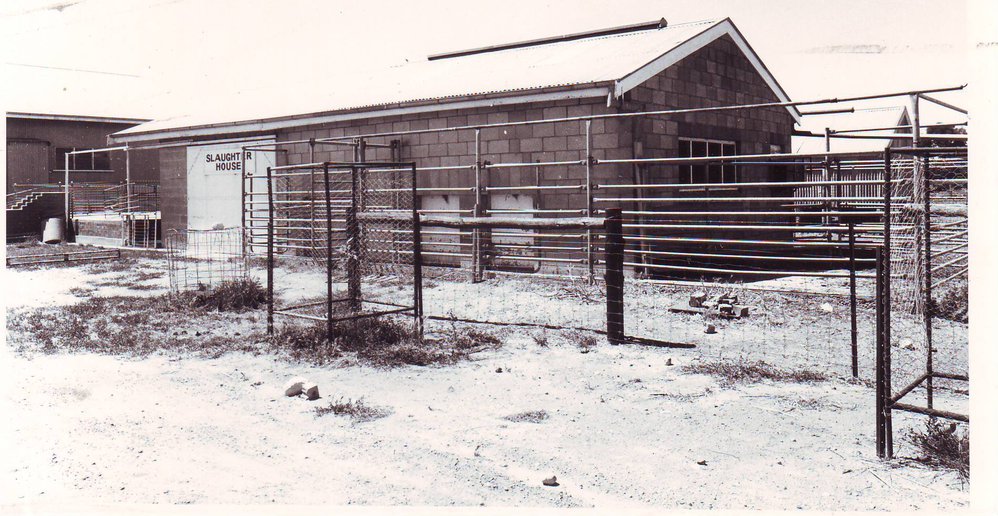 Slaughter House and Yard, Roseworthy Agricultural College, 1990