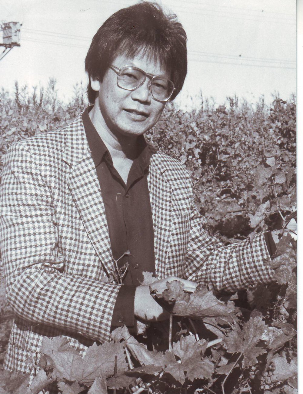 Andrew Yap, Senior Lecturer in Viticulture, Roseworthy Agricultural College, 1989