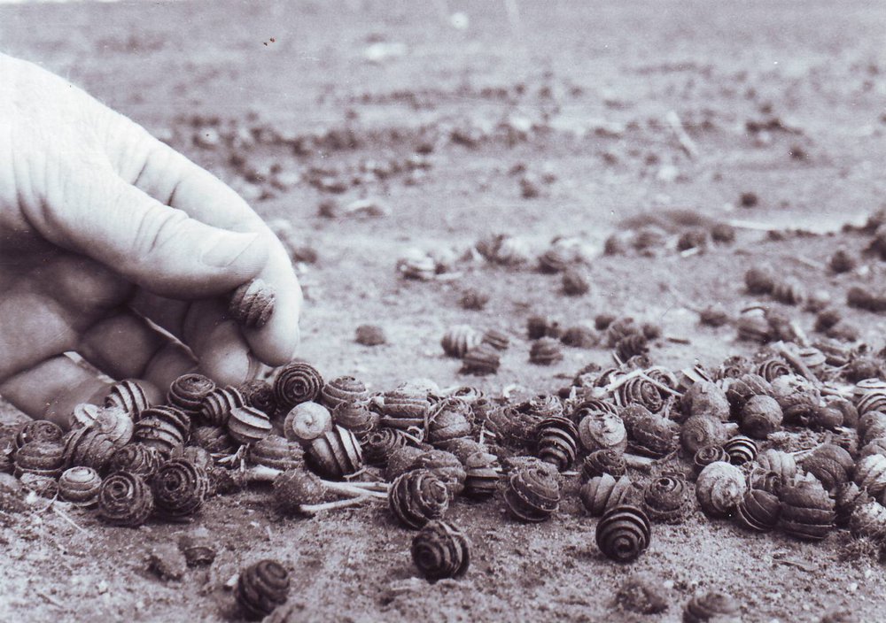 Snail Medic Pods, 1983