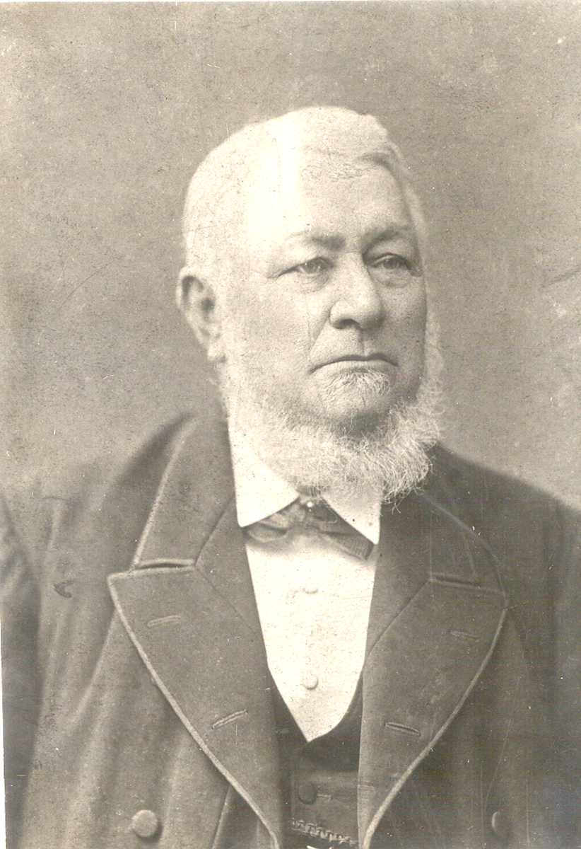 Hon Sir Henry Ayers KCMG MLC, c1874
