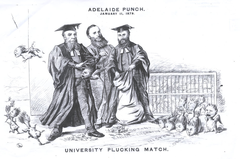 Adelaide Punch Cartoon 'University Plucking Match', 1879