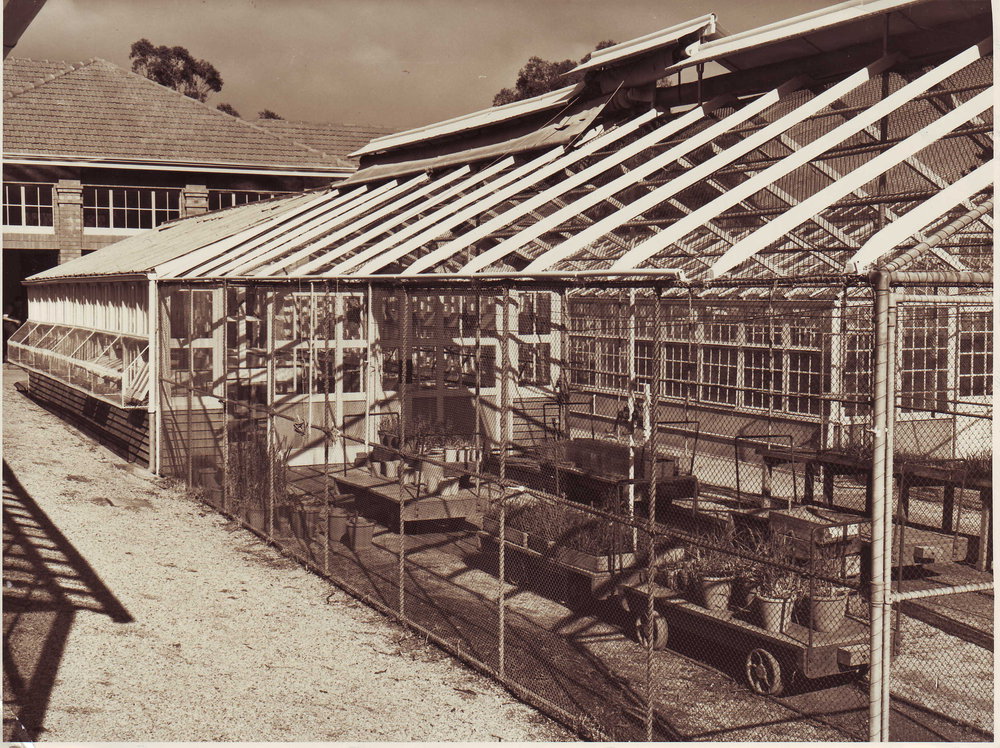 Waite Agricultural Research Institute, 1929