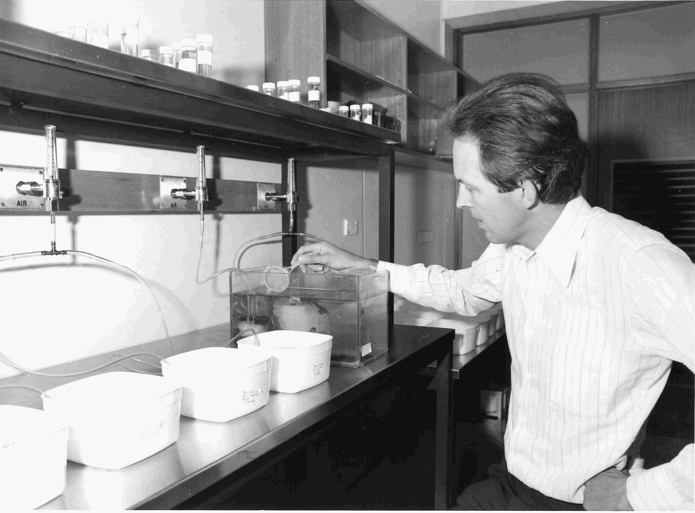 Mike Tyler - Froggery, 1978