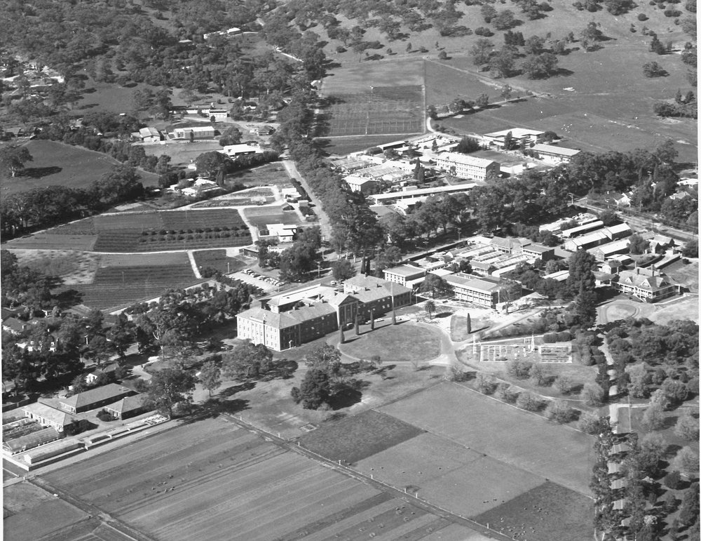 Waite Agricultural Research Institute, 1979
