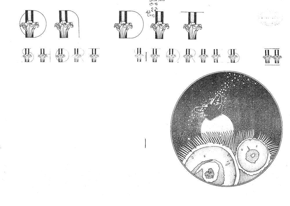 On Dit. Volume 43, Short Stories, Issue 2