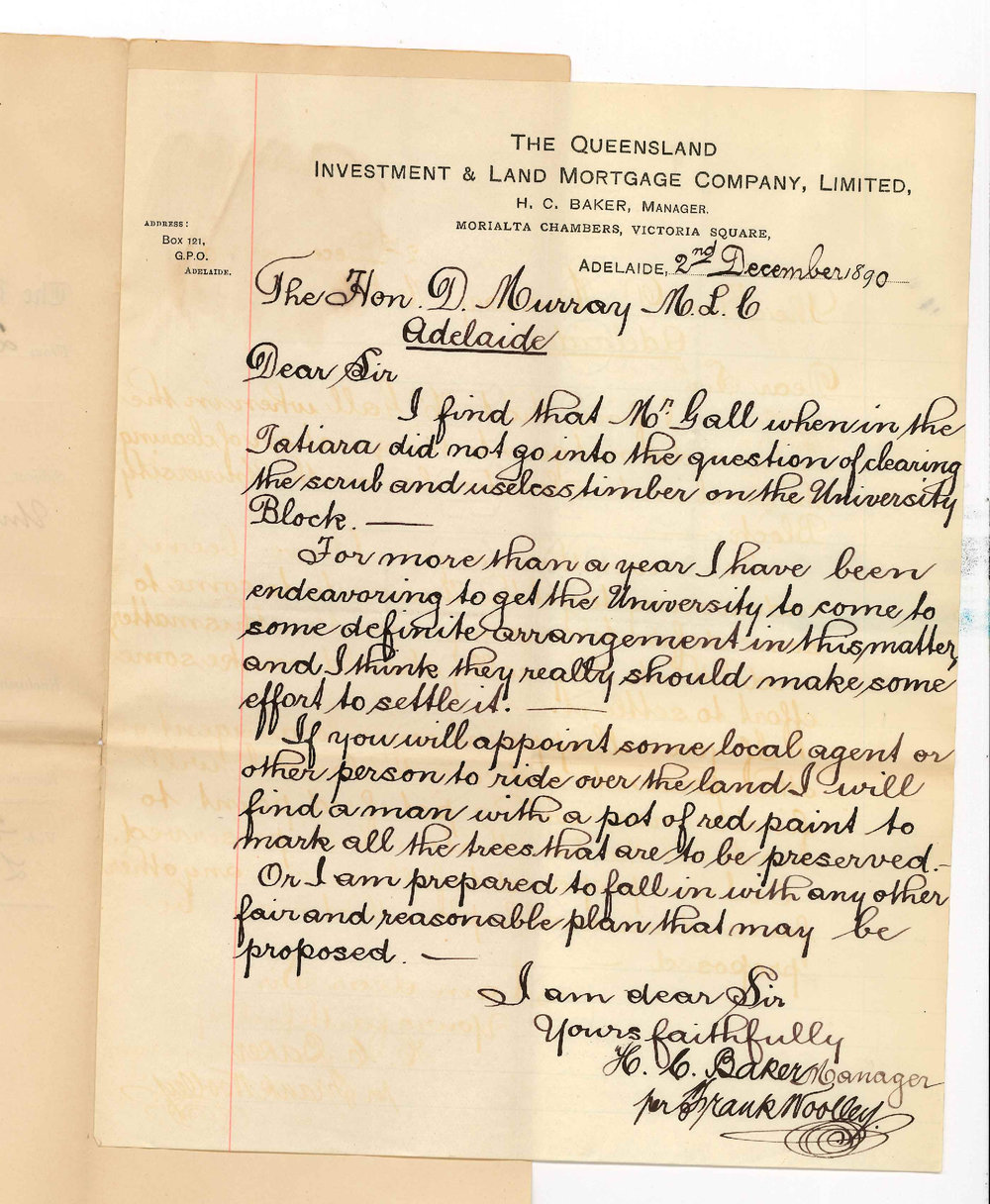 H C Baker - Queensland Company - Adelaide - Clearing Timber on University land at Tatiara