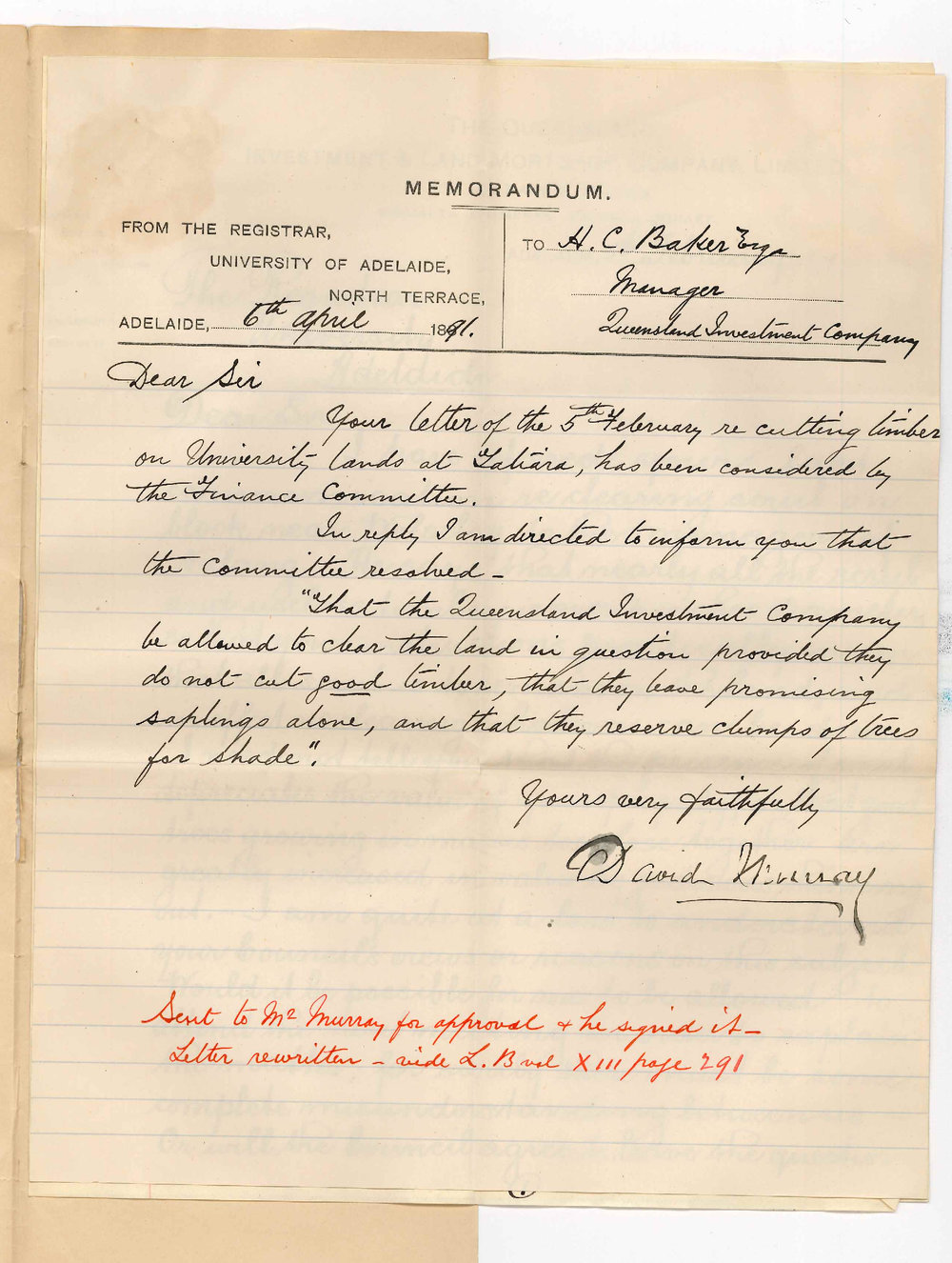 David Murray - Queensland Company - Adelaide - Re cutting timber on Tatiara