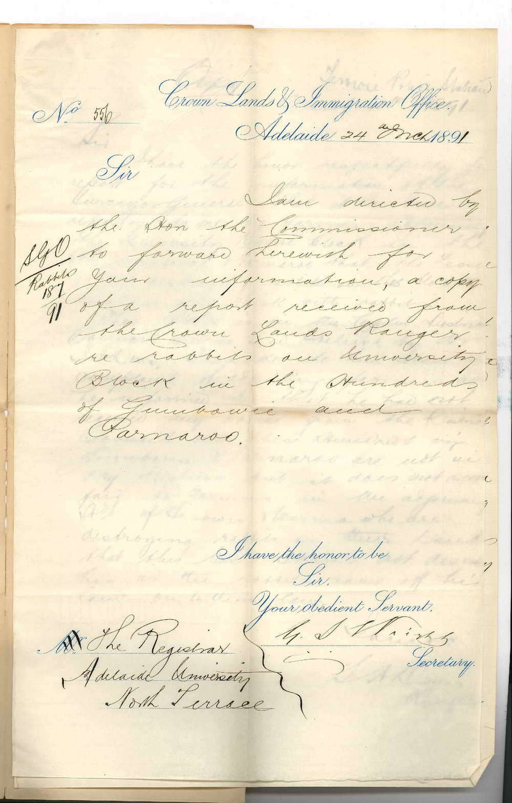 G S Wright - Secretary Crown Lands office - Rabbits on Parnaroo