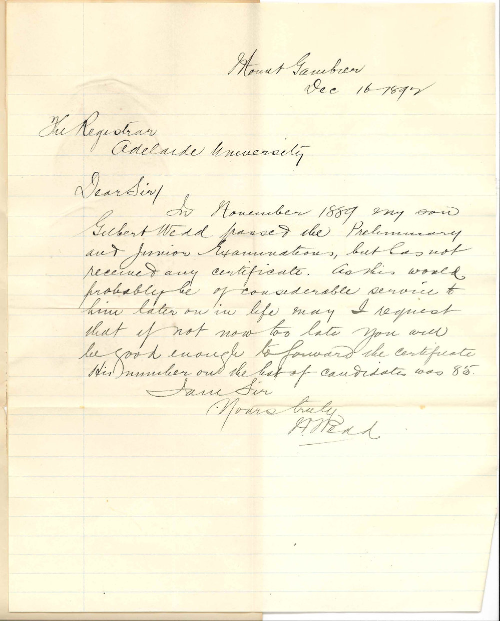 W Wedd - Mount Gambier - Requests Gilbert Wedd [Son] Junior Public Certificate