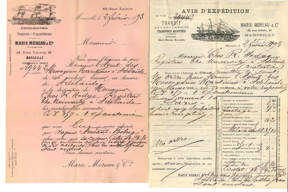 M Tramond - Paris France - Regarding Order Forwarded by University