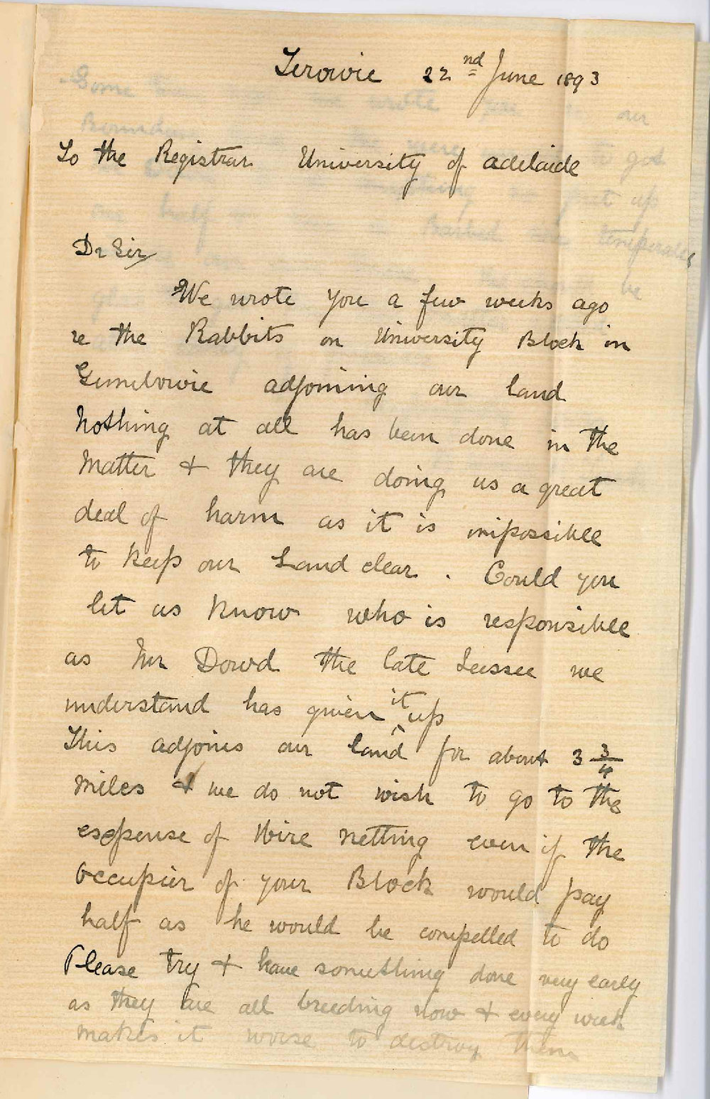B H and A R Tuck - Terowie - Rabbits on University Land at Parnaroo