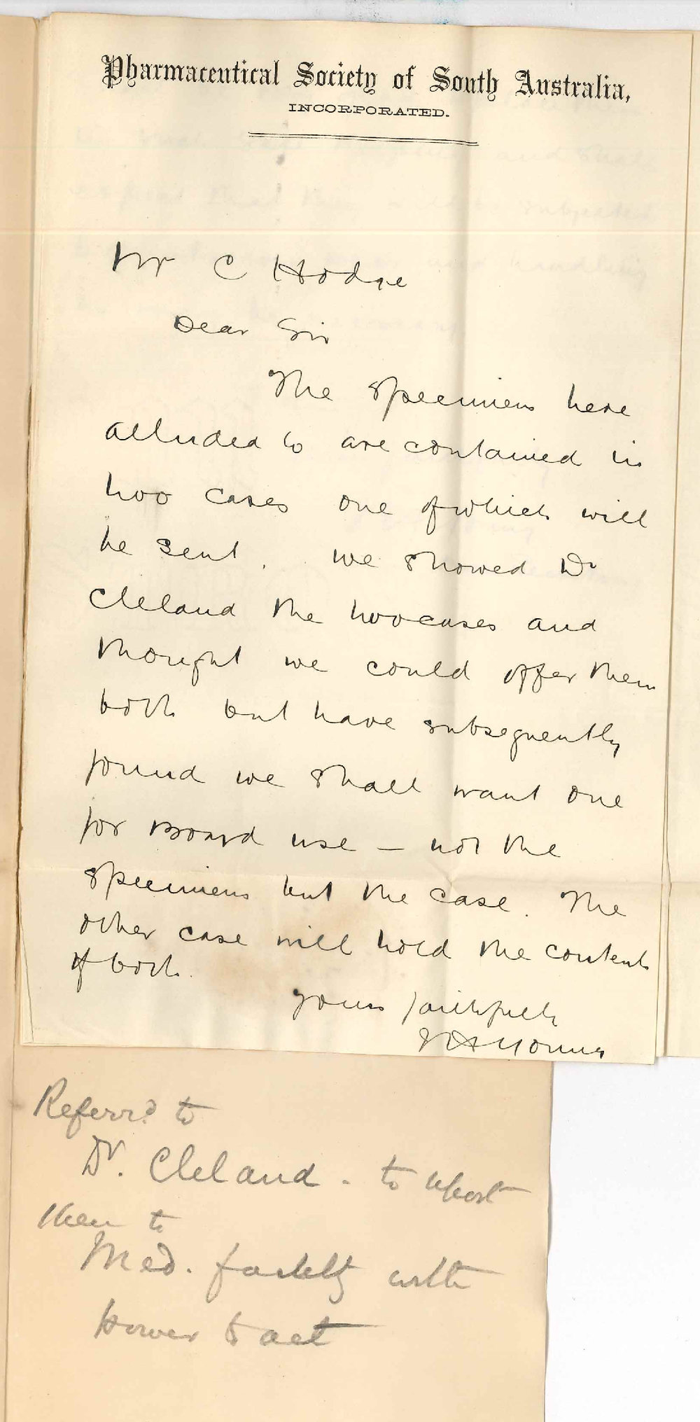 J H Young - Hon Secretary Pharmaceutical Society of SA - Offering case of materia medica specimens to University