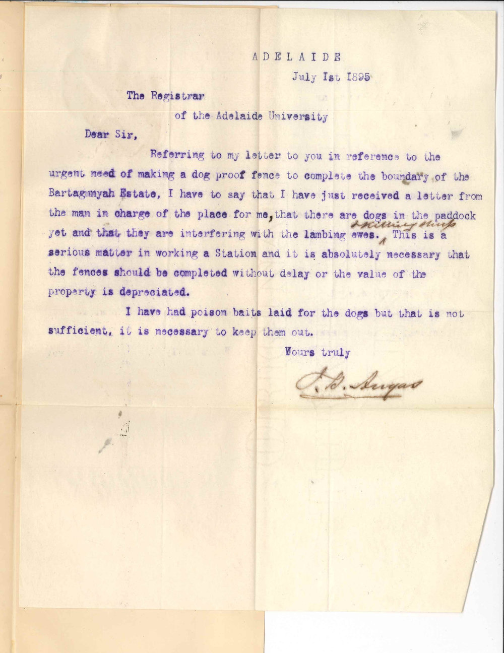 John Howard Angas - Adelaide - Wire fencing at Bartagunia