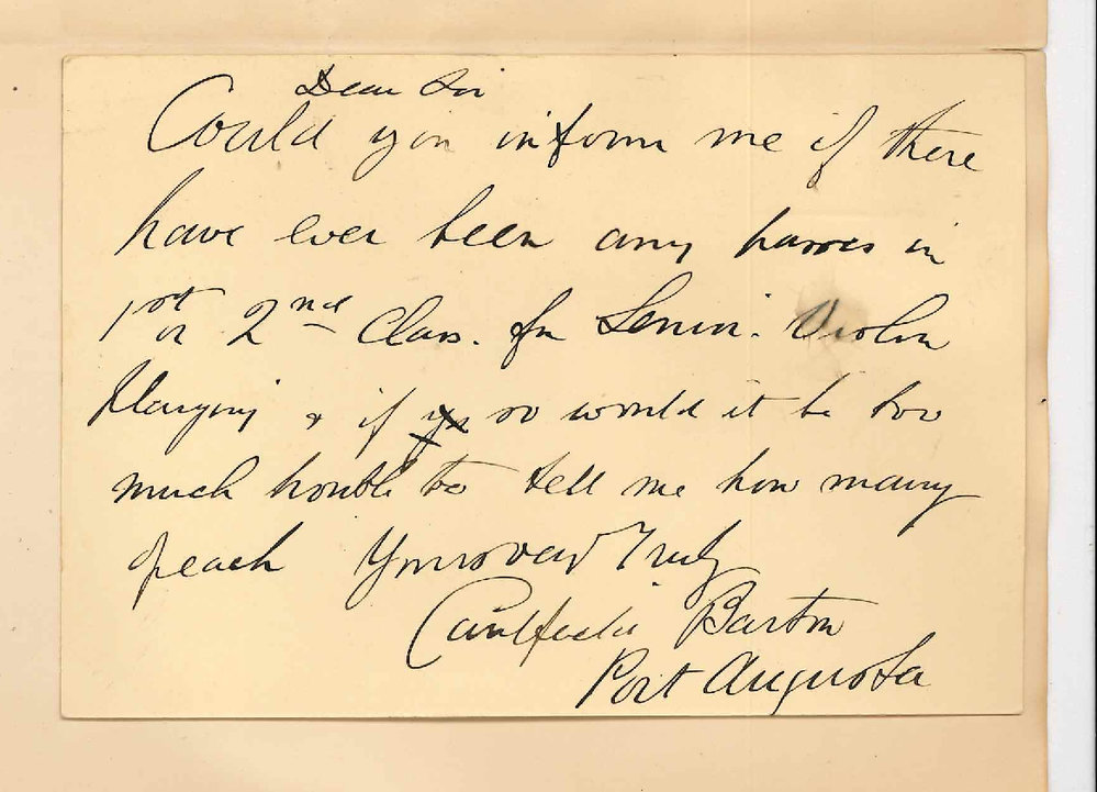 Caulfield Barton - Port Augusta - Regarding Exams in violin playing