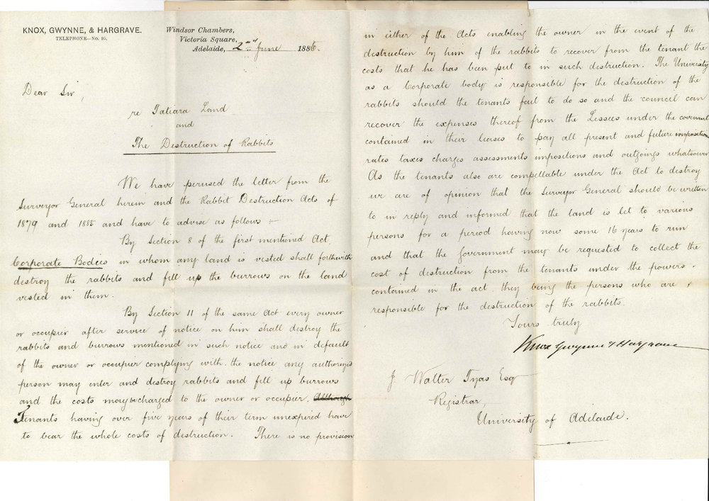 Knox Gwynne and Hargrave - Victoria Square Adelaide - Destruction of Rabbits at Tatiara and Liability of the University