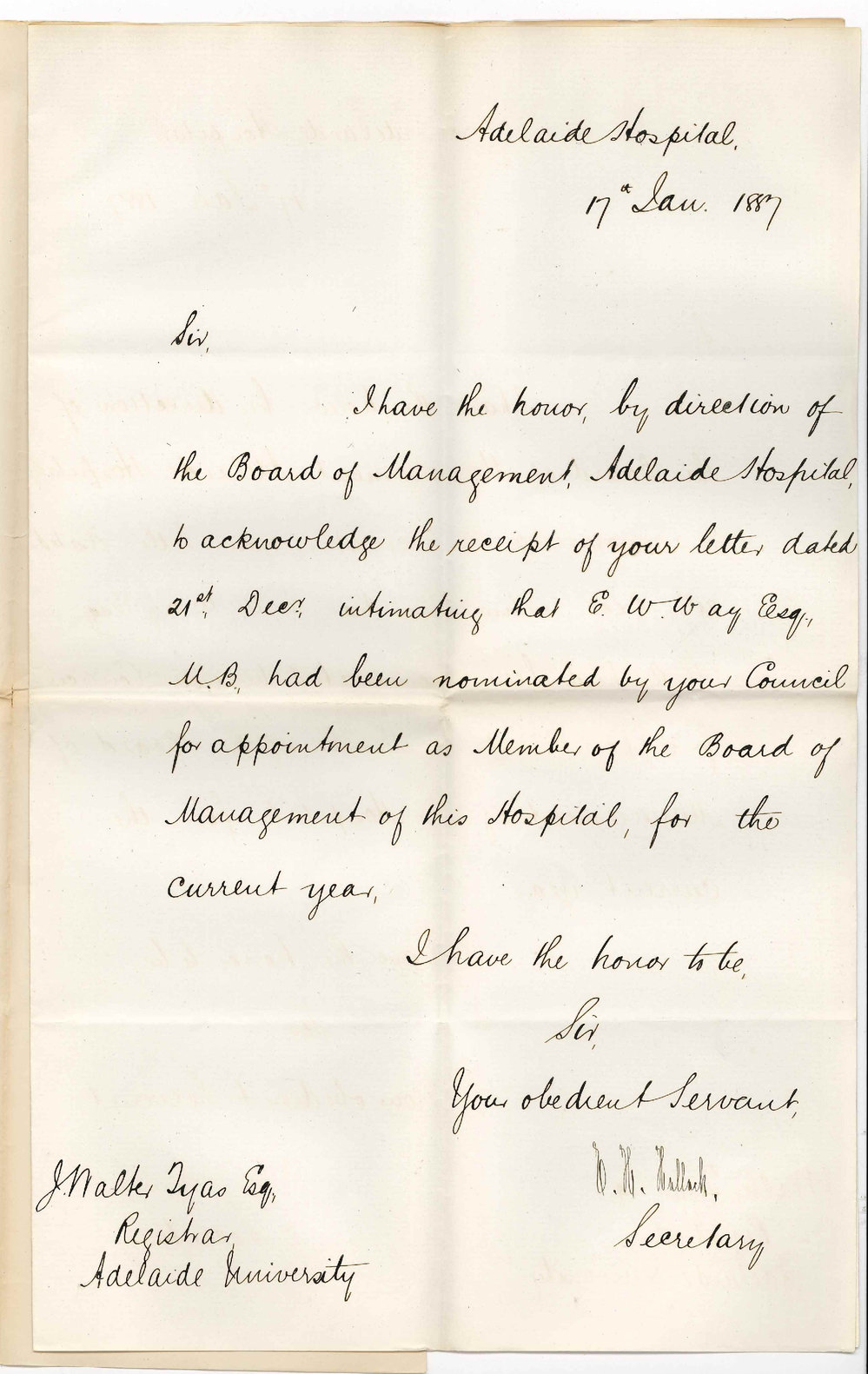 E H Hallack - Secretary - Adelaide Hospital - Concerning Appointment of Dr Edward Willis Way on Board of Management