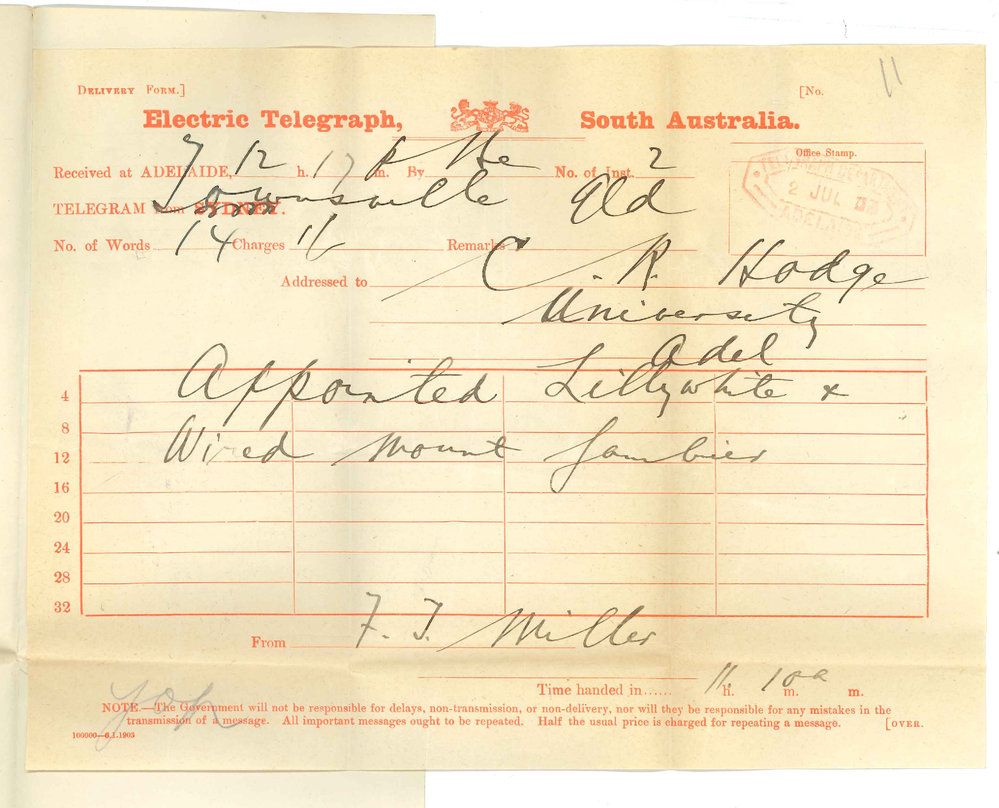 F T Miller - Townsville Queensland - Appointment Lillywhite as Master