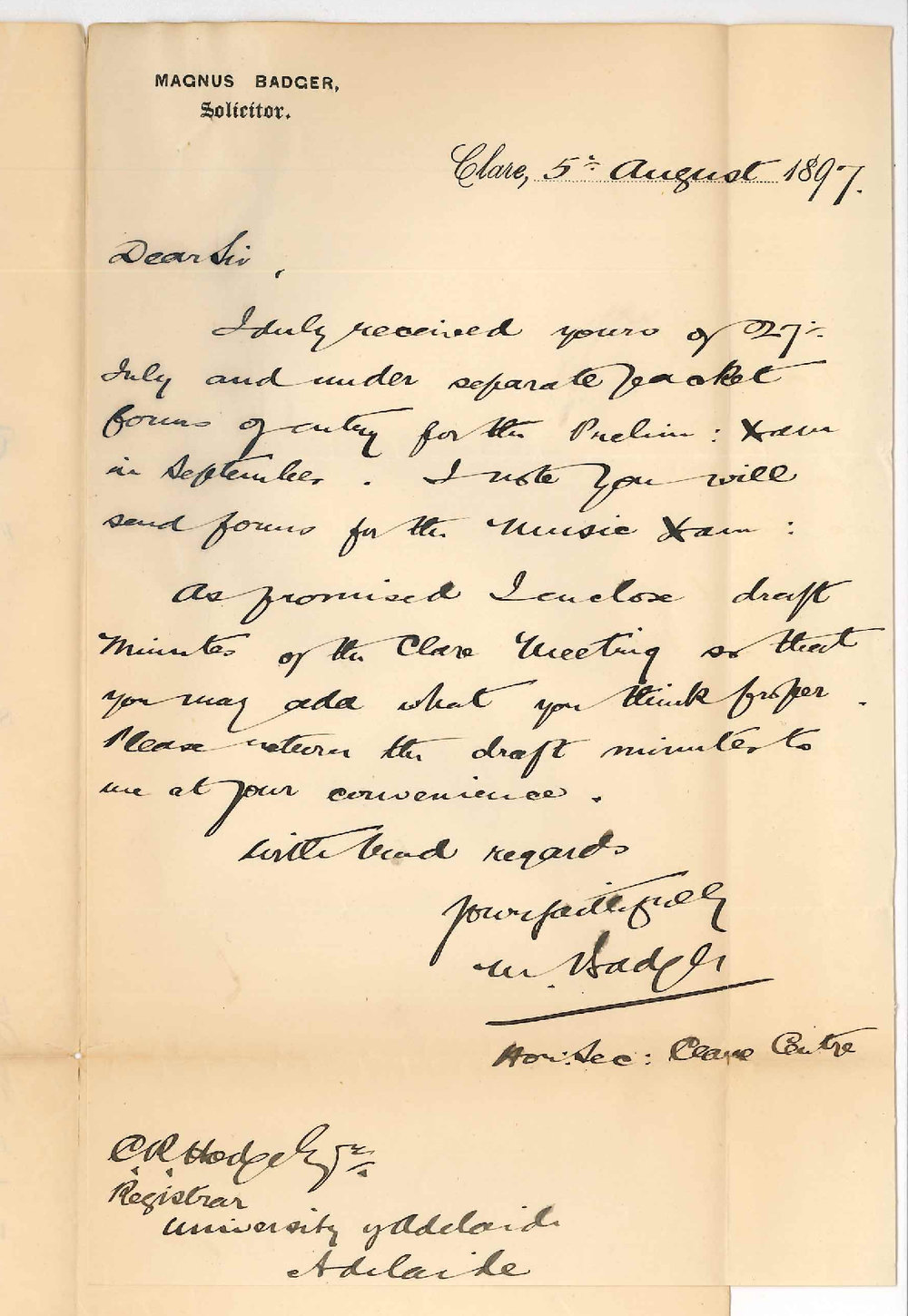 Magnus Badger - Clare - Clare Centre