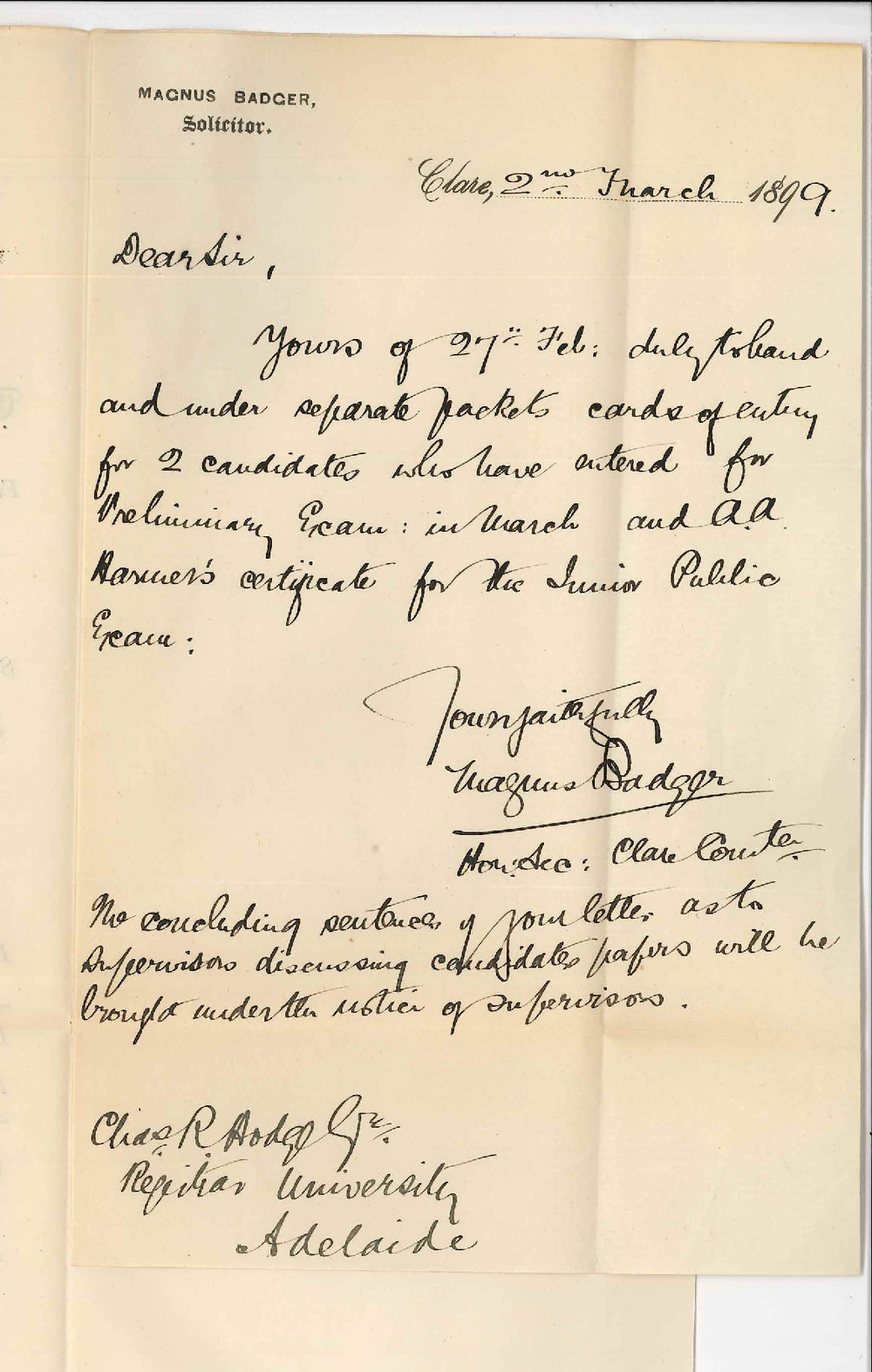 Magnus Badger - Clare - Preliminary Examination