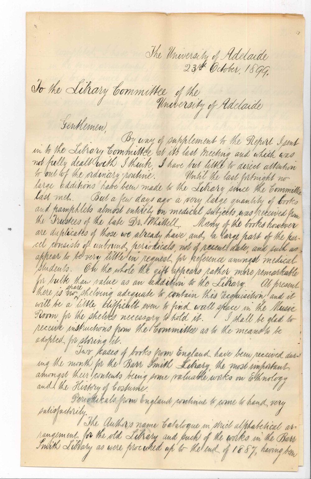 Joseph Coleman - The University - Report of work in the Library