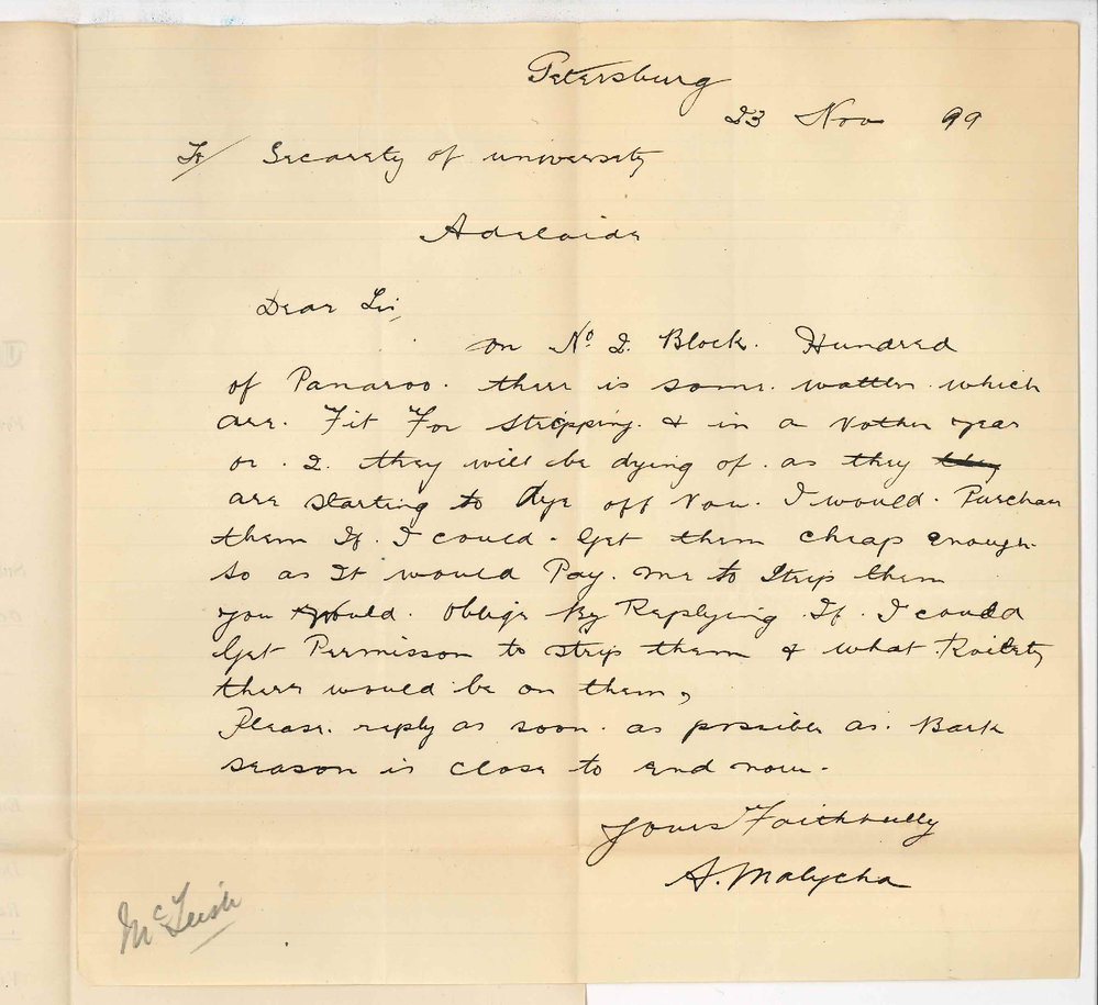 A Malycha - Petersburg - Stripping wattles on Block Number 2 Parnaroo